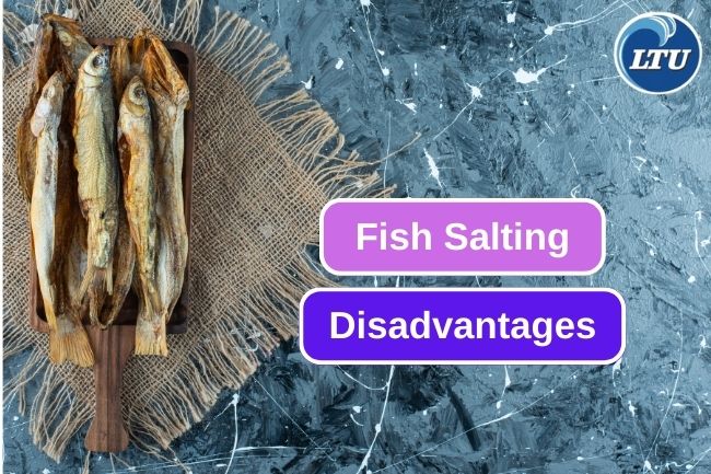 5 Reason To Considerate Using Salting To Preserve Fish